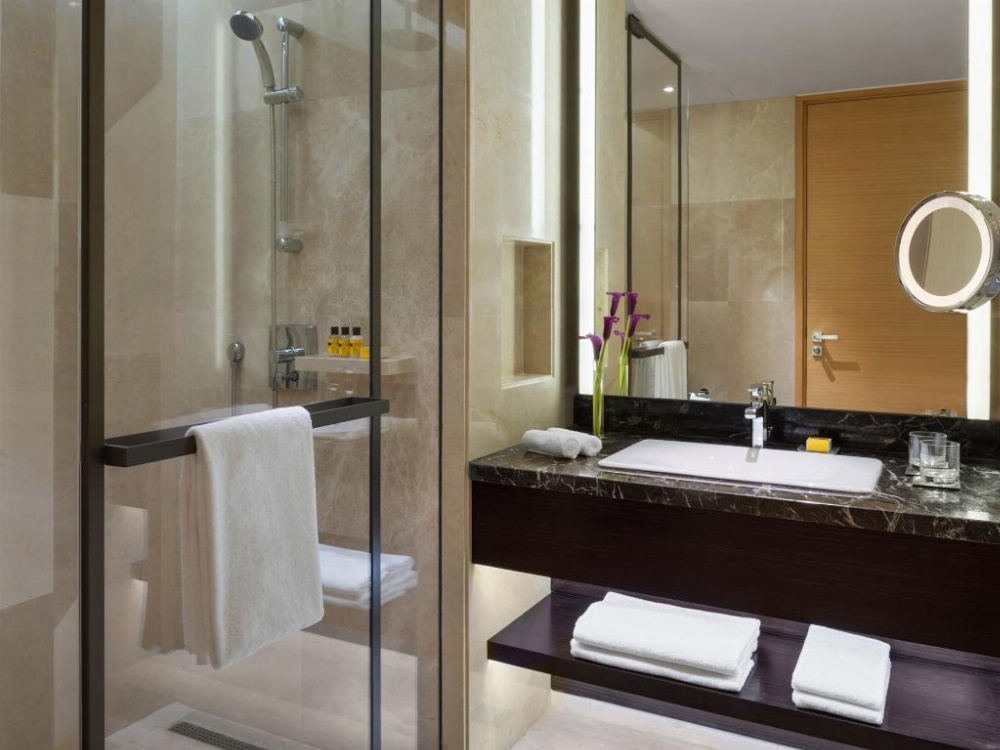 Hyatt Regency Riyadh Olaya Image 42