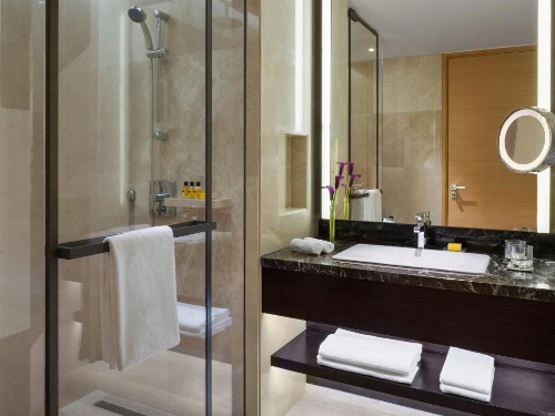 Hyatt Regency Riyadh Olaya image 47